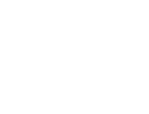 Логотип Zoome Dance Studio